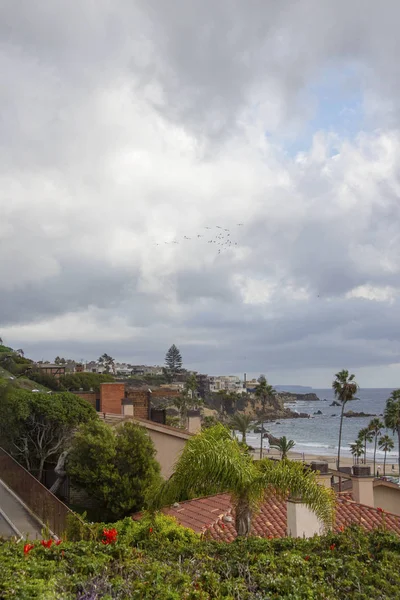 City scape view from a hillside overlooking the Pacific Ocean