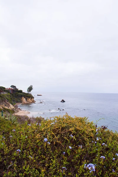 Ocean view of cliff side from Corona Del Mar, California, Coastline from Little Corona, Newport Beach, USA