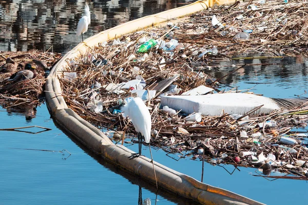 Inflatable floating yellow pipe stopping accumulated drifting of trash being swept to ocean after a rainy day.  Unsightly and toxic environmental damage & pollution to bird and fish habitat.