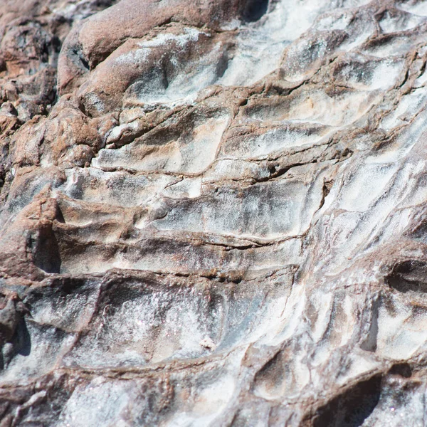 Seamless stone natural texture background closeup. Stone weathered by the ocean waves