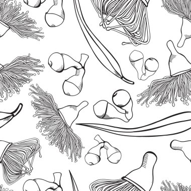 Flowering Gumnut Eucalyptus Seamless Patterns Vector Illustrations clipart