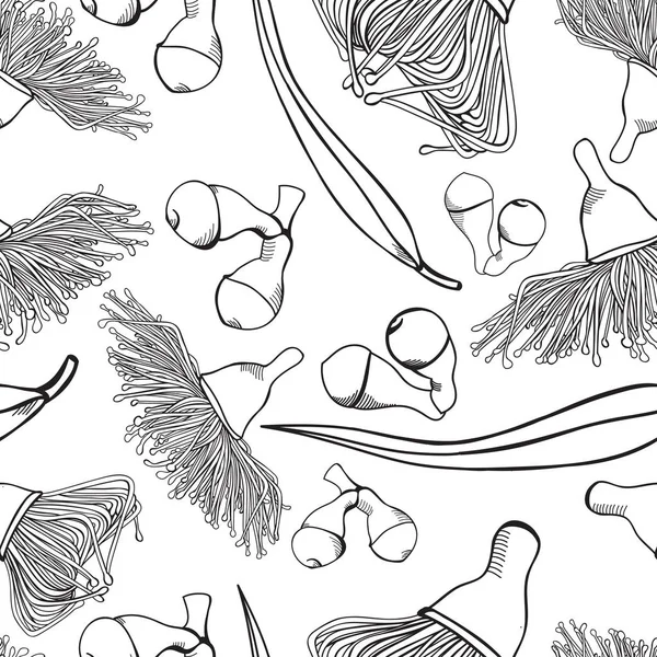 Gomada Floración Eucalyptus Seamless Patterns Vector Illustrations — Archivo Imágenes Vectoriales