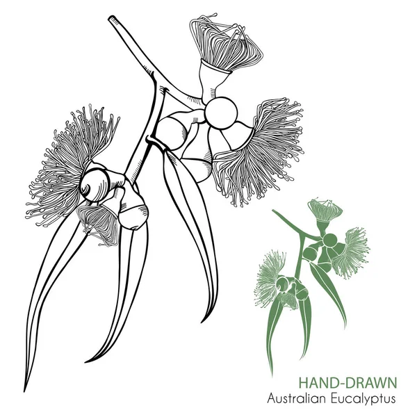 Çizilmiş çiçekli deniz ve yaprakları vektör öğeleri