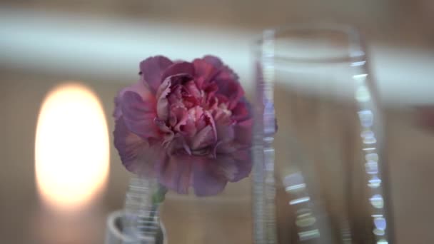 Палаюча Свічка Скляному Столі Квіткові Композиції — стокове відео
