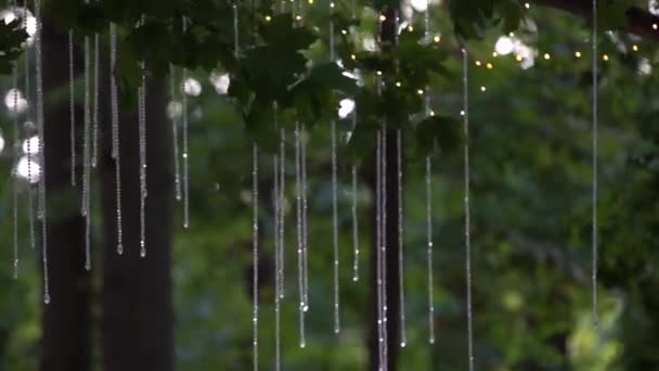 Kristal Boncuklar Bir Akçaağaç Rüzgarda Sallanan Dallarında Asmak — Stok video