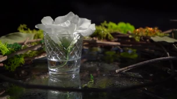 Witte Bloem Ligt Een Transparant Glas Water — Stockvideo