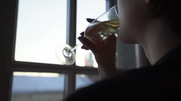 Belgili Tanımlık Pencere Kamera Bir Kadeh Şampanya Holding Karşı Karşıya — Stok video