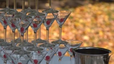 Martini gözlük içinde kırmızı kiraz yanında şampanya bir kova yanında duran arı, uçan gözlük ile slayt