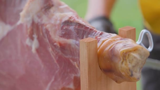 Ham Ham Close Schieten Straat Een Zomerdag — Stockvideo