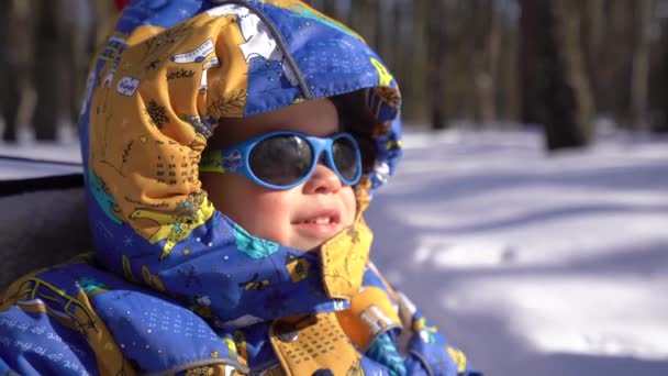 小婴儿 男孩坐在雪橇上的冬季工作服 引擎盖和黑色太阳镜 看着了 在阳光明媚的日子在背景的冬季森林 — 图库视频影像