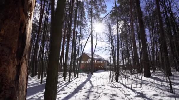 Yapım Aşamasında Kış Orman Güneşli Gün Uzaktan Çekim — Stok video