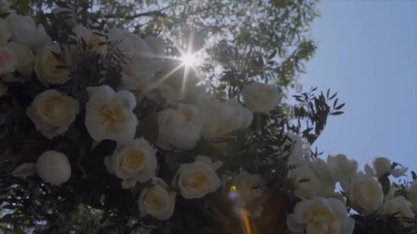 Hochzeit Urlaub Bogen Aus Weißen Rosen Sonnenlicht Vor Wolkenlosem Blauem — Stockvideo