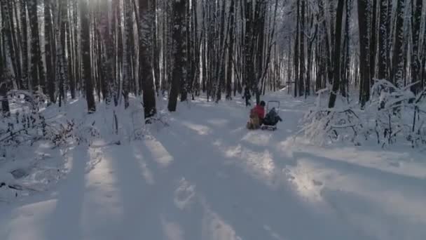 Mamma Baby Och Hund Skogen Vinter Mamma Huk Och Petting — Stockvideo