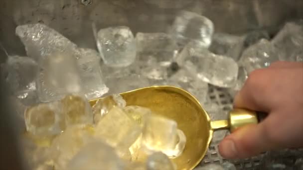 クローズ アップ アイス キューブは 特殊コンテナーの多くは 金のスコップで手は氷そこから — ストック動画