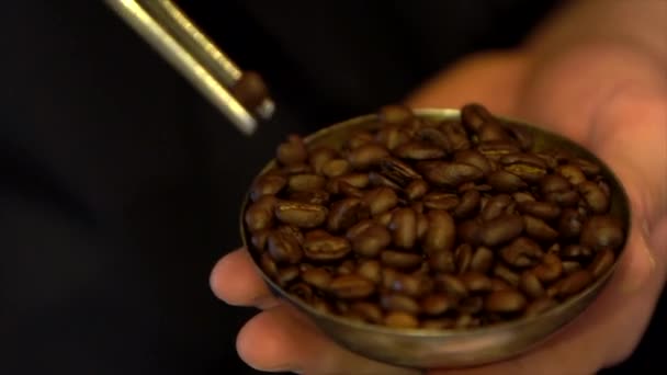 Man Hand Holds Metal Bowl Coffee Beans Tweezers Turn Takes — Stock Video