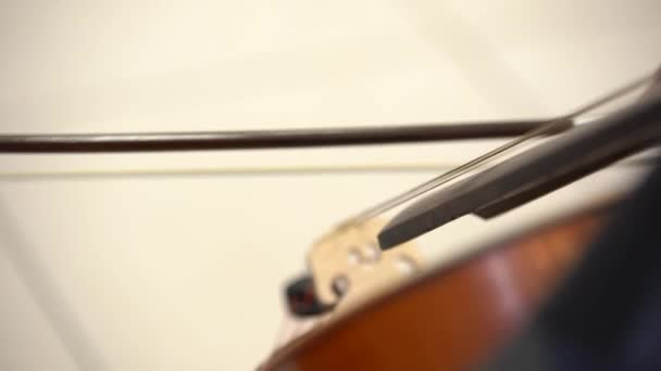 Eine Männerhand Mit Bogen Spielt Auf Den Saiten Eines Musikinstruments — Stockvideo