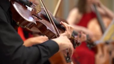 Moskova / Rusya 09.23.2018: yakın çekim keman çalmak siyah gömlekli bir adam,