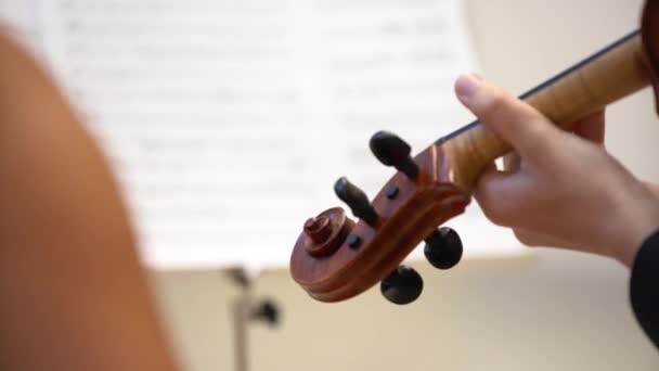 Man Playing Violin Viola Frame Head Violin Pegs Close — Stock Video