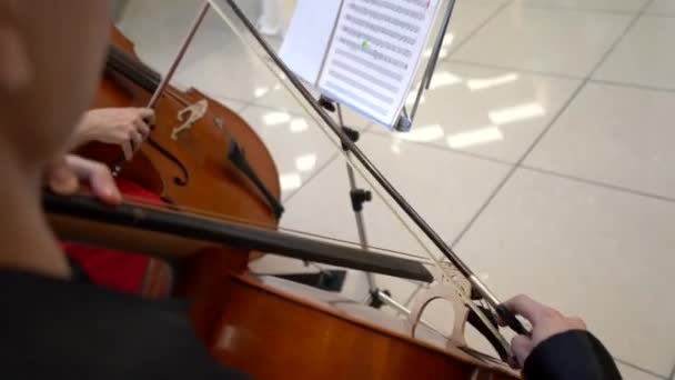 Ένας Άντρας Ένα Μαύρο Πουκάμισο Παίζει Κοντραμπάσο Βιολοντσέλο Γκρο Πλαν — Αρχείο Βίντεο