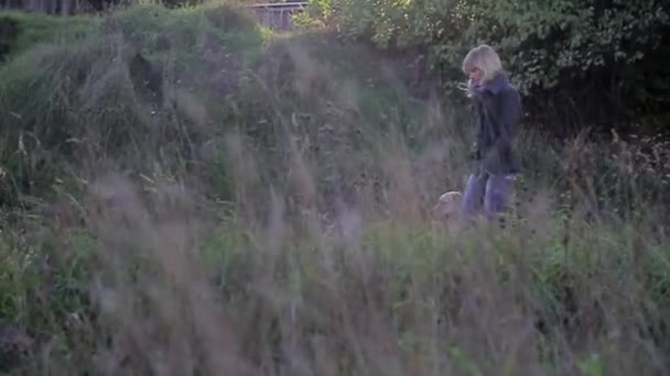 ブロンドの女性は ゴールデンレトリバー品種の犬とのひもを歩いて 犬が突然前方に走り始め ホステスをドラッグします — ストック動画