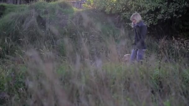 Donna Bionda Cammina Guinzaglio Con Cane Della Razza Golden Retriever — Video Stock