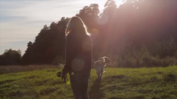 Młoda Kobieta Spacer Psem Rasy Golden Retriever Dziewczyna Trzyma Smycz — Wideo stockowe