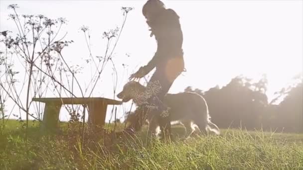 一位年轻女子坐在公园的长凳上 适合狗品种的金毛寻回者 把前爪放在女孩的膝盖上 在日落的阳光明媚的日子里拍摄 — 图库视频影像