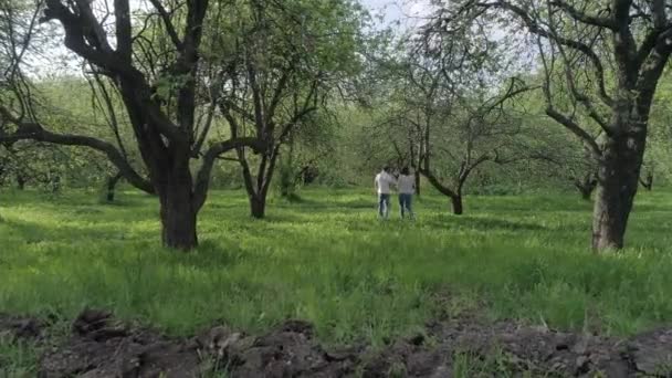Lovers Férfi Öltözött Kék Farmer Fehér Pólók Kezében Séta Park — Stock videók