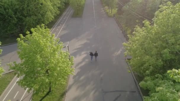 航空摄影 一男一女 牵手走在公园里 镜头升起 你可以看到城市和道路的全景 — 图库视频影像