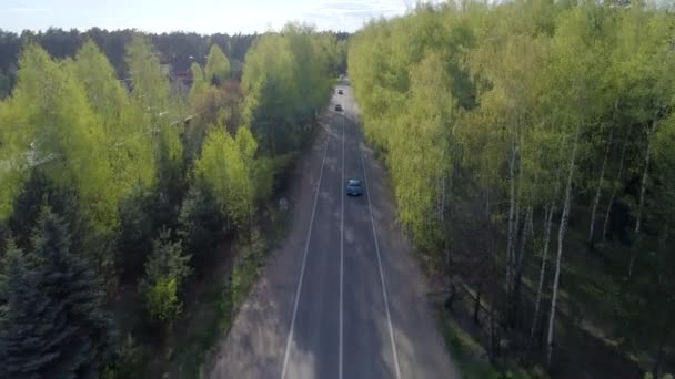 航空摄影 蓝色汽车骑行的公路 在公路森林的右边 到左边的小屋 夏日晴天 — 图库视频影像