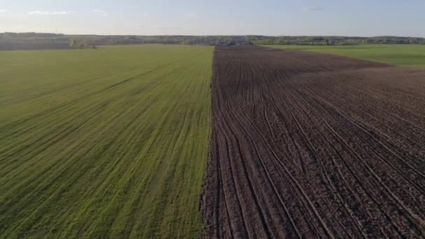 航空摄影 绿色的草地和耕耘的黑田 相机沿着田野和地球的边界飞行 在春天 夏天的日落 — 图库视频影像