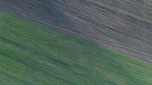 两个人 一男一女 恋人躺在空旷田野上的绿草上 阳光夏日 航空摄影 镜头围成一个圆圈接近人 — 图库视频影像