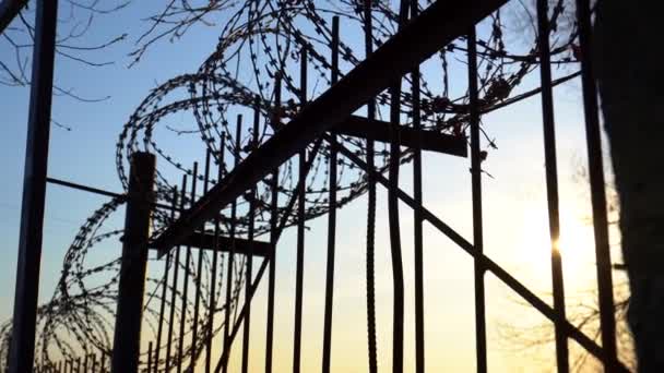 Fence Metal Rods Barbed Wire Top Blue Sky Tree Branches — Stock Video