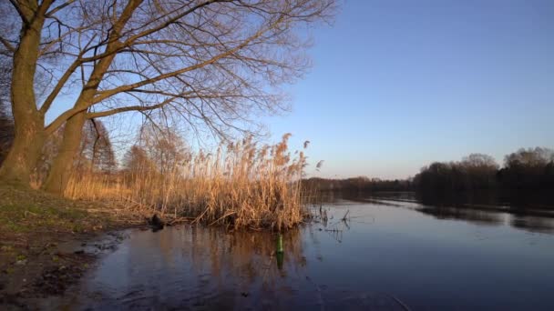 绿色玻璃 塑料瓶漂浮在池塘表面直立 拍摄在秋初春日落 平均计划 — 图库视频影像