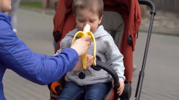 ベビーカーに座っている小さな赤ちゃん 男の子 彼にバナナを供給するママ 赤ちゃんは一部を噛み 長い間それを噛み 周りを見回し ストリート撮影 平均的な計画 — ストック動画