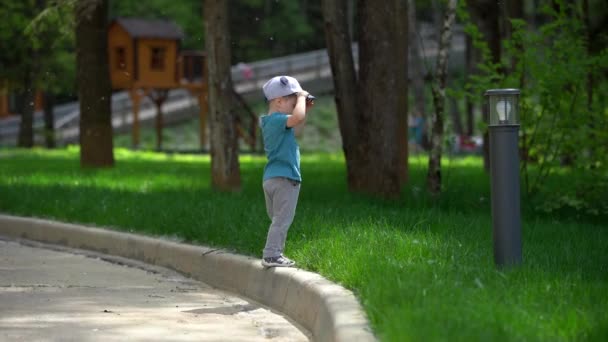 緑の芝生の隣の縁石の上を歩く小さな男の子は ポプラの綿毛の周りを飛んで 公園を歩く 晴れた夏の日 平均的な計画 — ストック動画