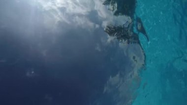 Parlak güneş ve su altında ağaçlar ile mavi gökyüzü çekim, yüzme dalış için gözlüklü kız dalış ve kamera üzerinde yüzer