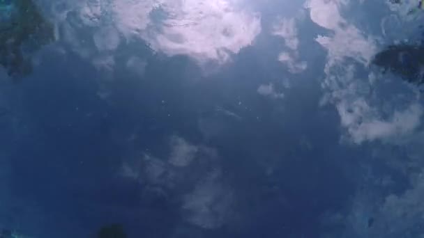 Menembak Langit Biru Dengan Matahari Cerah Dan Pohon Pohon Bawah — Stok Video