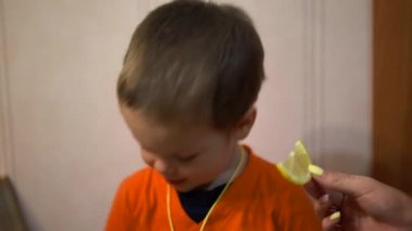 Küçük bir erkek bebek limon kama ısırıyor, bu da bir kadının elini tutuyor. Çocuk kaşlarını çatıyor, gülüyor ve bir limon dilimi ısırmak için tekrar çalışır, yakın çekim, portre fotoğrafçılığı