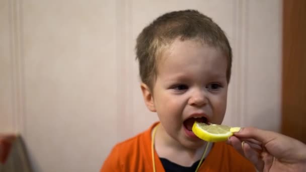 Pequeño Niño Mordiendo Una Cuña Limón Que Sostiene Mano Una — Vídeo de stock