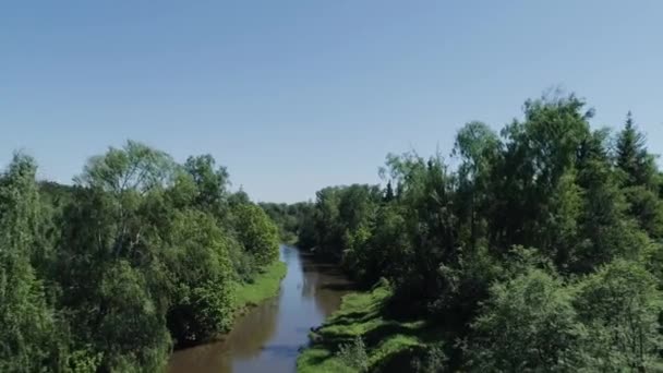 空中摄影 在一条狭窄的河边飞行 河岸上有绿树 阳光明媚 — 图库视频影像