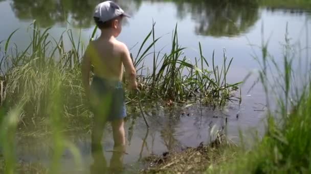 一个小男孩 一个欧洲人 穿着蓝色短裤 头戴一顶帽子 站在河里 把树枝从树上伸进河里 — 图库视频影像