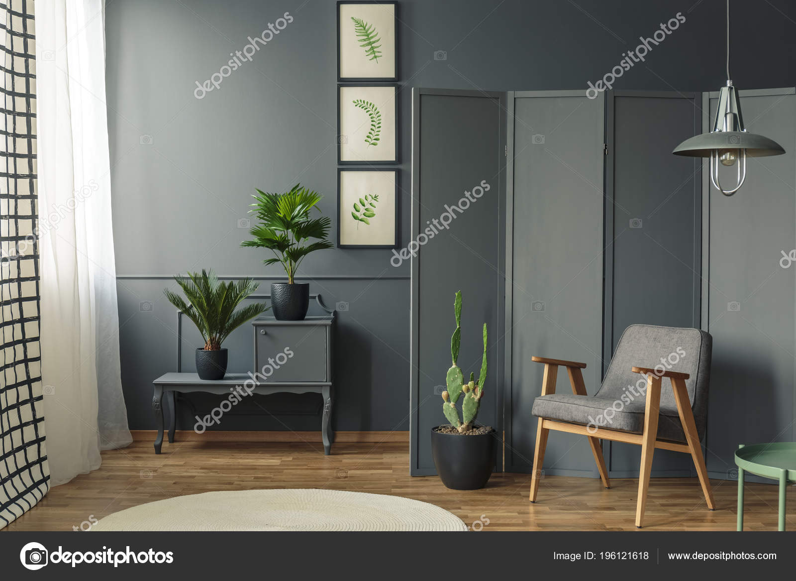 Grey Room Interior Plants Black Pots Cupboard Next Chair Wooden