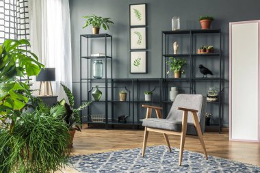 Gri sandalye ve bir odada siyah raflar bitkilerin iç tam 