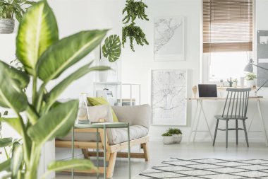 Bej kanepe ve freelancer'ın iç gri sandalye ile dizüstü bilgisayar masası yakınındaki beyaz duvar haritalar