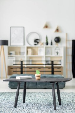 Kitap ve salon iç desenli halı üzerinde duran siyah ahşap masa üzerinde kaktüs