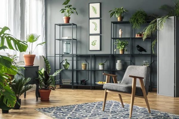 Élégant Intérieur Gris Salon Avec Des Plantes Sur Des Supports — Photo