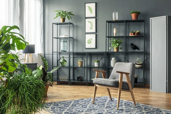 Gray armchair on patterned rug in dark and elegant living room interior with plants on a metal rack