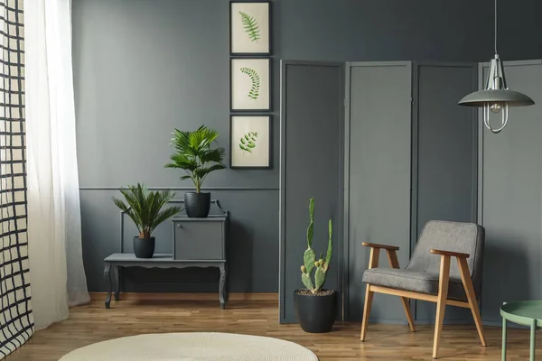 灰色房间内部与植物在黑罐子在一张椅子旁边在木地板上 — 图库照片