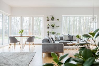 Köşe kanepe yastıkları SCANDI oturma odası iç ile yakındaki tahta masada gri koltuklar